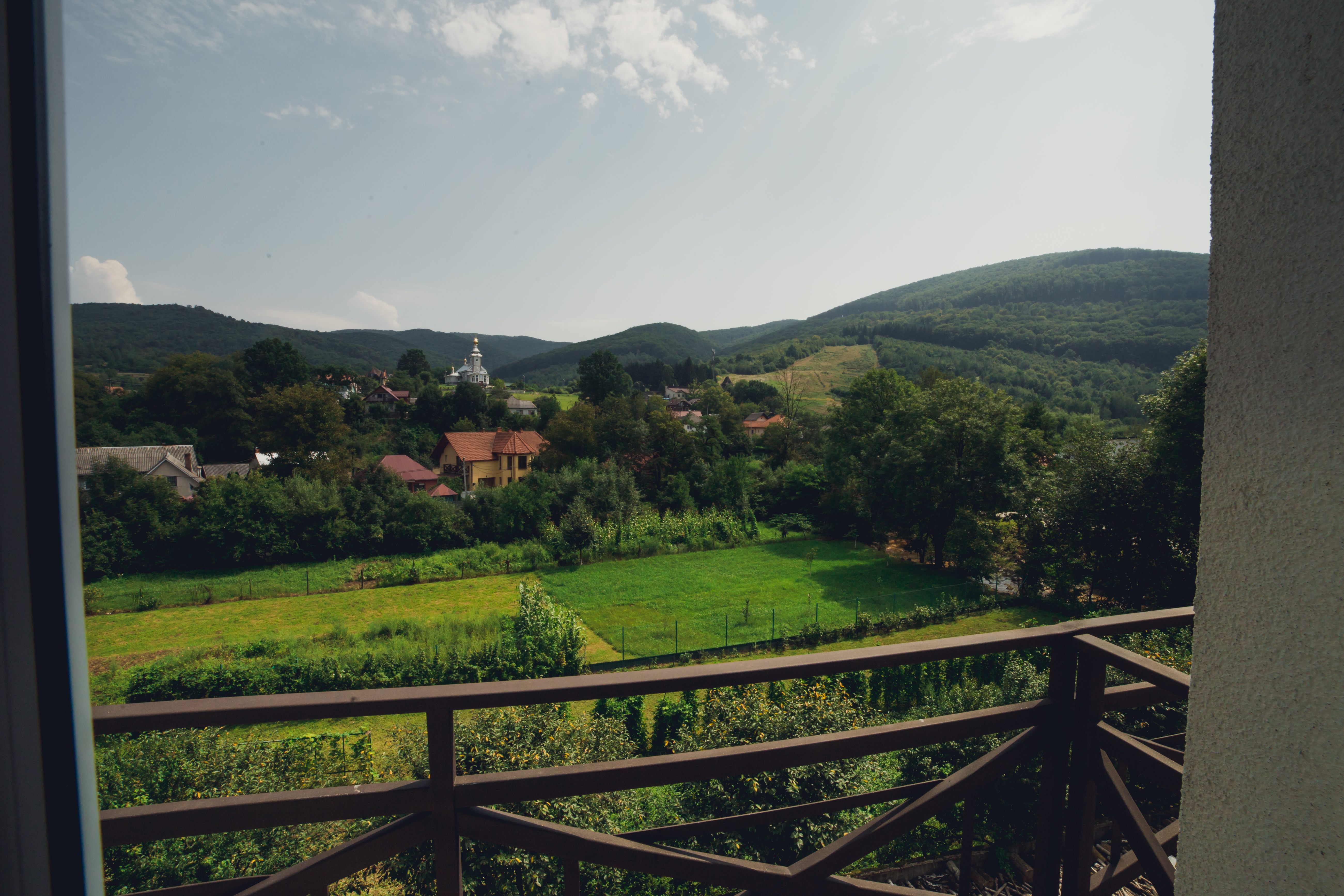 Стандарт двомісний - вид